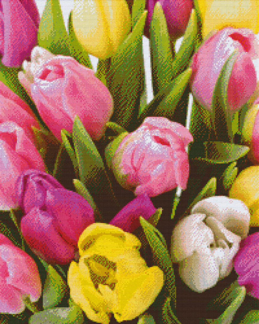 Tulips Twenty-Five [25] Baseplate PixelHobby Mini-mosaic Art Kit image 0